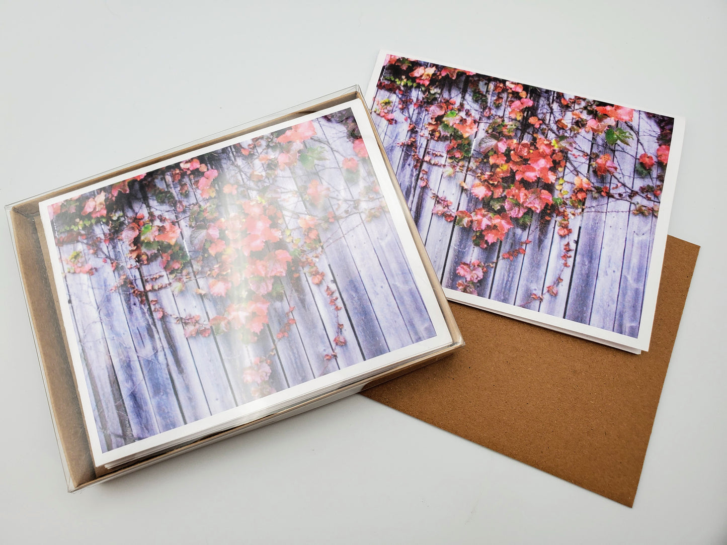 Fall Ivy-Boxed Set of 5 Color Blank Notecards w/Envelopes for Autumn Greetings