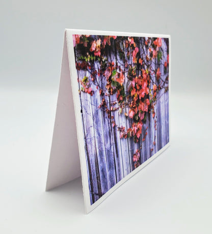 Fall Ivy-Boxed Set of 5 Color Blank Notecards w/Envelopes for Autumn Greetings